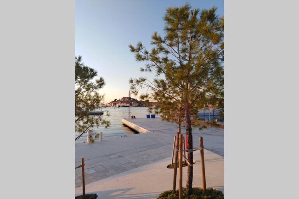 Apartman Sertic Nenad Rovinj Ngoại thất bức ảnh